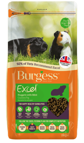 Burgess Excel Guinea Pig