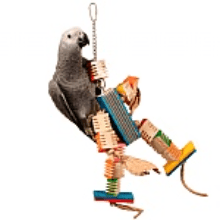 Groovy Dancer Parrot Toy