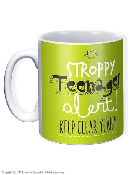 "Stroppy Teenager Alert" Funny Novelty Mug