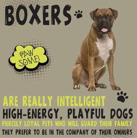 Boxers Metal Wall Sign
