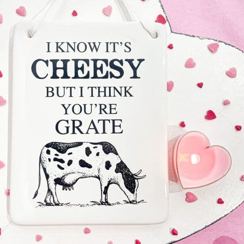 'I Know Its Cheesy But I Think You're Grate' Ceramic Plaque