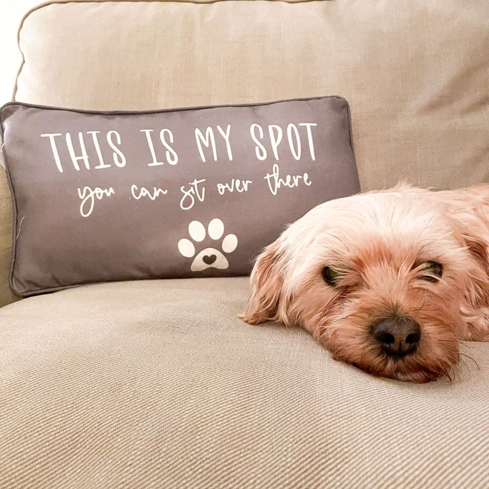 'This Is My Spot' Pet Cushion