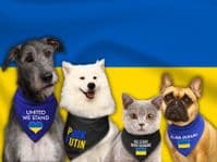 'Puck Futin' Ukraine Dog Bandana