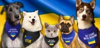 'We Stand With Ukraine' Dog Bandana