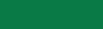 Amsterdam - Standard Series Acrylic Paint 120ml - Emerald Green