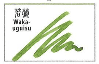 Sailor - Shikiori Ink 20ml - Wakauguisu