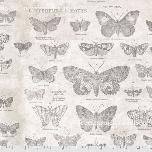 Tim Holtz - Eclectic Elements - Monochrome Collection - Butterflies