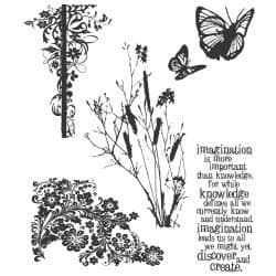 Tim Holtz - Rubber Stamps - CMS049 - Natures Discovery
