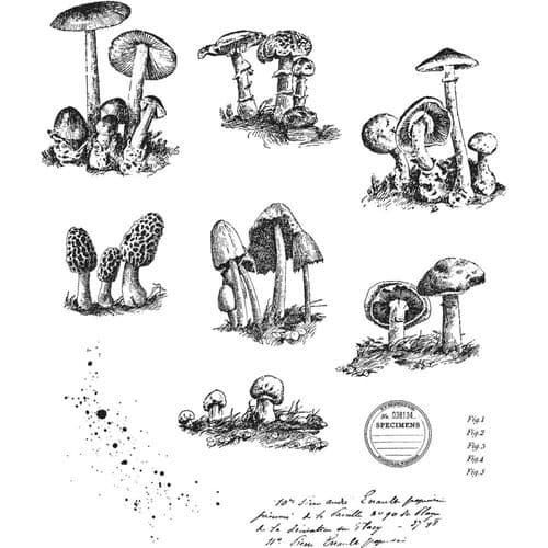 Tim Holtz - Rubber Stamps - CMS377 - Tiny Toadstools