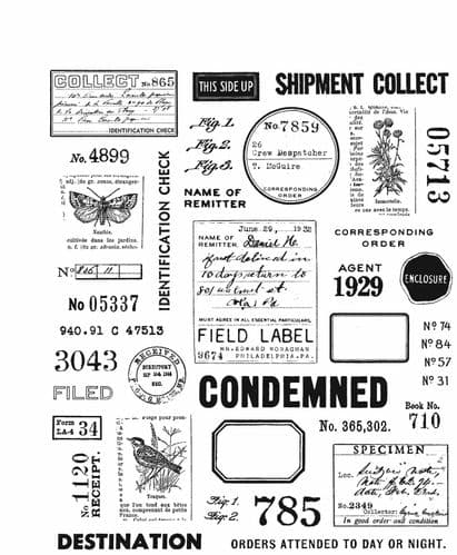 Tim Holtz - Rubber Stamps - CMS396 - Field Notes
