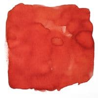 Van Dieman Inks - Series #6 Harvest Series  -  30ml Tasmanian Saffron