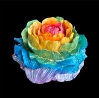 Eliza T Paperweight - Large Flower - Various Colours