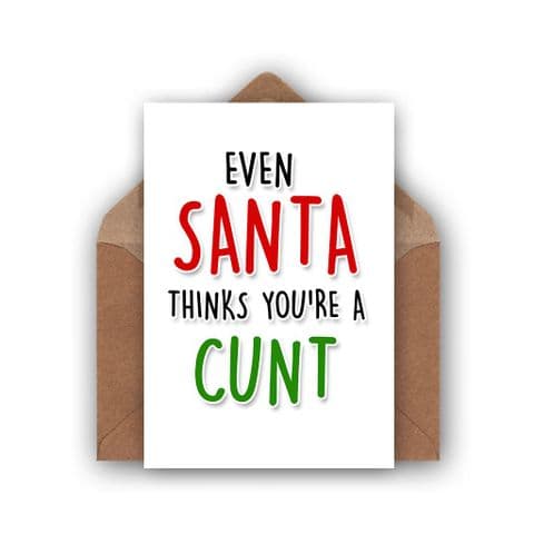Funny Christmas Card | Santa Thinks Your a Cunt!