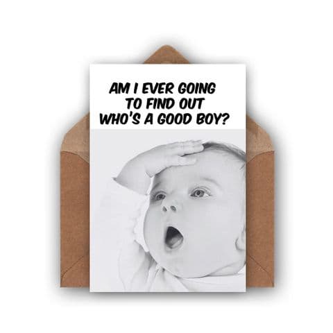 New Born | Who's a Good Boy?